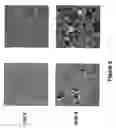 Fig. 06 - Biocompatible cement containing reactive calcium phosphate nanoparticles and methods for making and using such cement