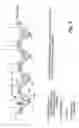 Fig. 07 - Seed drill