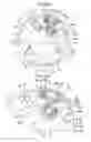 Fig. 06 - Valve timing control apparatus and internal combustion engine