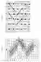 Fig. 03 - Industrial two-layer fabric