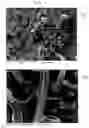 Fig. 02 - Process for the production of silver filaments having micrometric or sub-micrometric diameter and product thereof