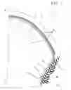 Fig. 02 - Pneumatic tyre for two wheeled vehicles