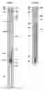 Fig. 02 - Downhole connection system