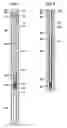 Fig. 02 - Downhole connection system