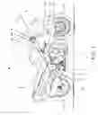 Fig. 02 - Oil feeding system of engine