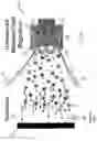 Fig. 06 - Multi-layered radiopaque coating on intravascular devices