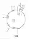 Fig. 02 - Filtering device