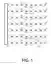 Fig. 02 - A STRUCTURE FOR DISPLAYING STEMWARE