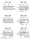 Fig. 07 - Liquid discharge head and producing method therefor