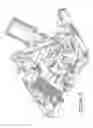 Fig. 05 - Systems useful for beverage making machines