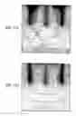 Fig. 09 - Aroma dispensing device