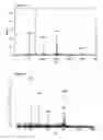 Fig. 09 - Composite MALDI matrix material and methods of using it and kits thereof in MALDI