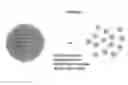 Fig. 03 - Engineered non-polymeric organic particles for chemical mechanical planarization