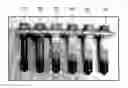 Fig. 01 - Tin oxide-based electrodes having improved corrosion resistance