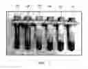 Fig. 02 - Tin oxide-based electrodes having improved corrosion resistance