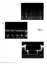 Fig. 06 - Use of step and flash imprint lithography for direct imprinting of dielectric materials for dual damascene processing