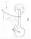 Fig. 09 - Convertible stroller/tricycle