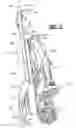 Fig. 06 - Collapsible stroller