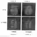 Fig. 05 - Method for imaging diffusion anisotropy and diffusion gradient simultaneously