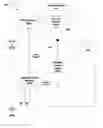 Fig. 01 - Temperature sensor circuit and system
