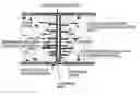 Fig. 01 - Process of producing a superconducting magnet made of a high-temperature bulk superconductor