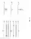 Fig. 09 - Transponder, including transponder system