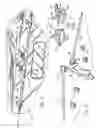 Fig. 02 - Window mountable dipole antenna system