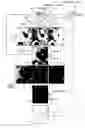 Fig. 01 - Visualizing system, visualizing method, and visualizing program