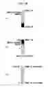 Fig. 19 - Visualizing system, visualizing method, and visualizing program