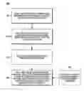 Fig. 01 - Method and apparatus to facilitate visual augmentation of perceived reality