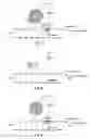 Fig. 07 - Image processing device and white balance adjustment device
