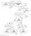 Fig. 02 - Converter and method for converting digital signals received in the form of modulated multiplexed signals