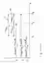 Fig. 03 - Pixel skew compensation apparatus and method