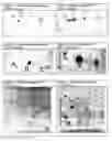 Fig. 02 - Detection method and apparatus metal particulates on semiconductors