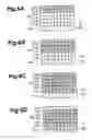 Fig. 07 - Fluorescent correalated spectrometric analysis device