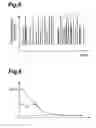 Fig. 09 - Fluorescent correalated spectrometric analysis device