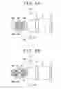 Fig. 06 - Recording medium, reproducing apparatus, and reproducing method