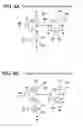 Fig. 05 - Semiconductor circuit, display device, and electronic appliance therewith