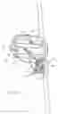 Fig. 06 - Offset solar-powered outdoor lighting apparatus