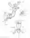 Fig. 02 - Decorative light display