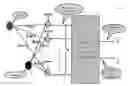 Fig. 01 - Method for signal estimation and extraction