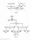 Fig. 07 - Method and apparatus for compensating for motion vector errors in image data