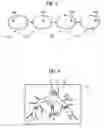 Fig. 03 - Method for integration of vectorial and/or tensorial measurement data into a representation of an anatomical image exposure