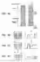 Fig. 06 - Image processing method and computer readable medium