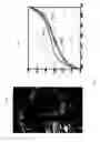 Fig. 08 - Detecting doctored images using camera response normality and consistency