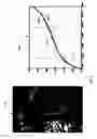 Fig. 09 - Detecting doctored images using camera response normality and consistency