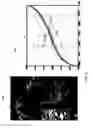 Fig. 10 - Detecting doctored images using camera response normality and consistency
