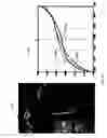 Fig. 11 - Detecting doctored images using camera response normality and consistency