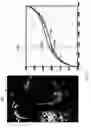 Fig. 12 - Detecting doctored images using camera response normality and consistency