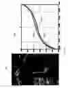 Fig. 13 - Detecting doctored images using camera response normality and consistency